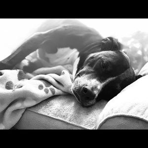 Meet your Posher, Jax